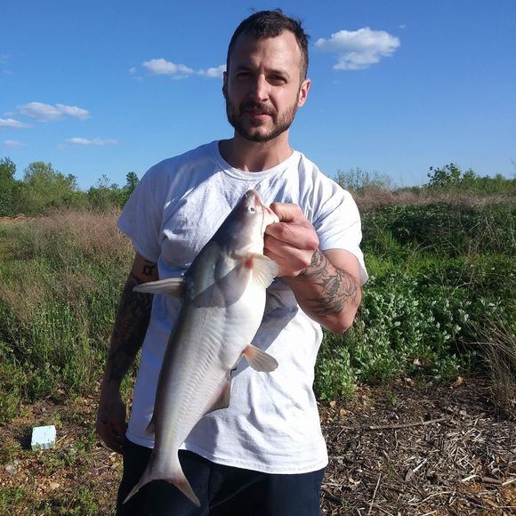 Meet your Posher, Stephen - Picture 1 of 1